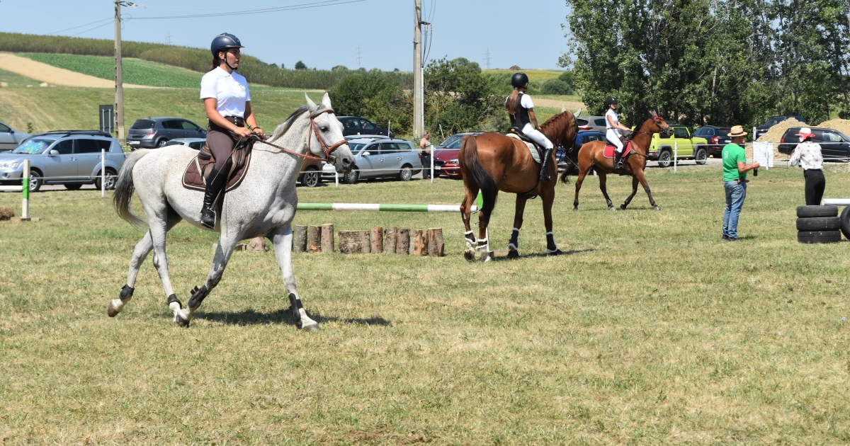 Ízelítő a lovassportok világából